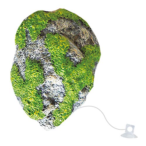 wave Floating Rock Beauty Ornaments, Large