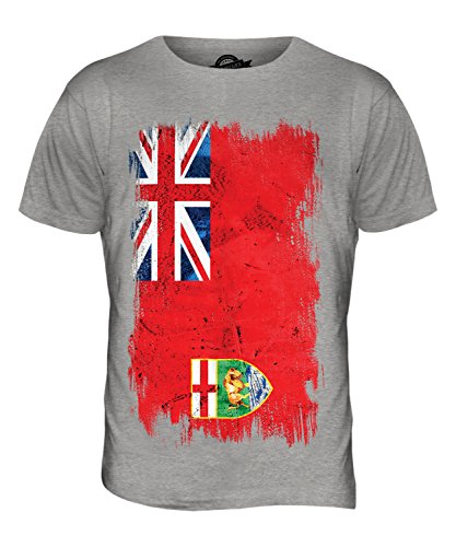Image of Candymix - Manitoba Grunge Flag - Mens T Shirt Top T-Shirt, Size Medium, Colour Grey Marl