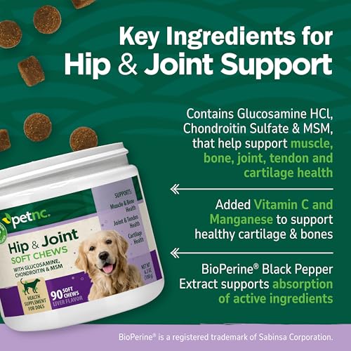 Petnc Hip & Joint Health Supplement for Dogs (90 Chews), Glucosamine Chondroitin MSM Dog Chews with Hyaluronic Acid, Liver Flavored Bone & Joint Support Supplement, For All Breeds