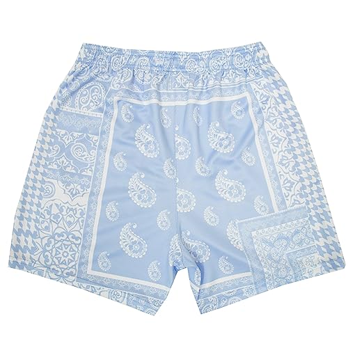 BOOMLEMON Men's Retro Paisley Shorts Mesh Print Casual Beach Shorts Athletic Gym Workout Running Short Pants2