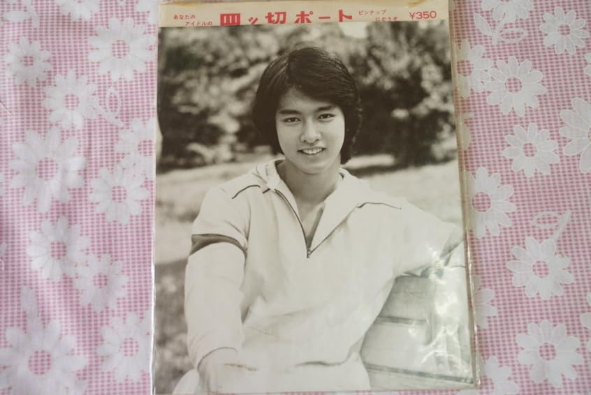 Amazon.co.jp: 太川陽介 四つ切ポート 写真 プロマイド ブロマイド