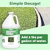 St Augustine Grass Fertilizer – Liquid Lawn Food for Thicker Turf, Strong Stolons & Rich Green Growth, 1 Gallon