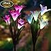 Solar Garden Stake Lights - 2 Pack Outdoor Solar Powered Lights with 8 Lily Flower, Multi-Color Changing LED Solar Decorative Lights for Garden, Patio, Backyard Decor (Purple & White)
