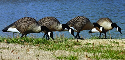 Higdon Outdoors Alpha Magnum Full-Body Trufeeder Pack Hunting Decoys, Canada #TOP1