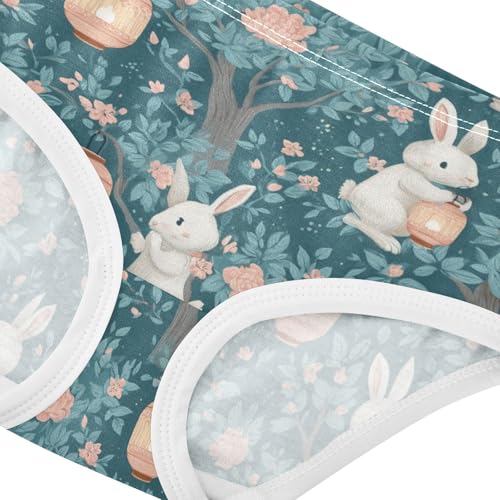 Wusikd Bunnie Girls' Underwear Cotton Cute Girls Briefs Soft Toddler Underwear 2T4
