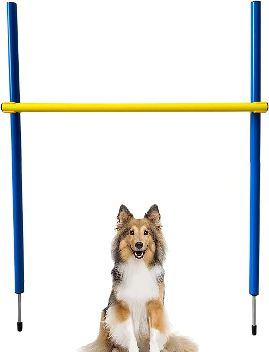 Dog Agility Hurdle, Portable Dog Agility Training, Adjustable Jumper, Exercise Tool, Blue/Yellow, 97Cm X 60Cm X 2.5Cm