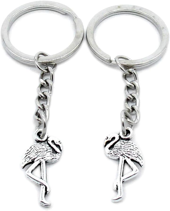 100 Pieces Keyring Keychain Wholesale Suppliers Jewelry Clasps S7VO5L Egretta Birds