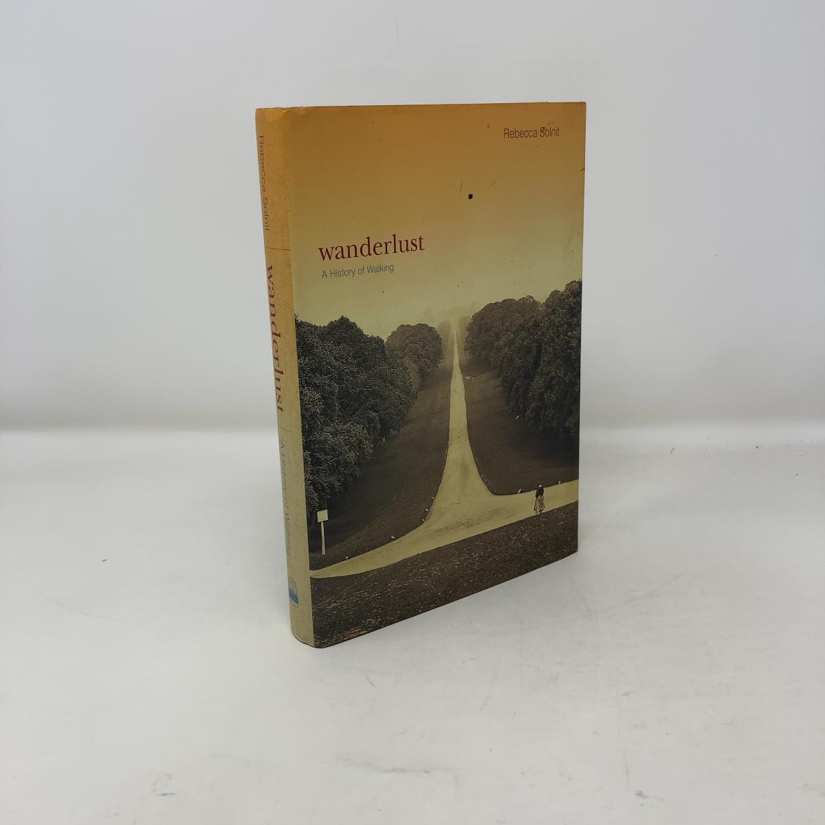 Wanderlust: A History of Walking