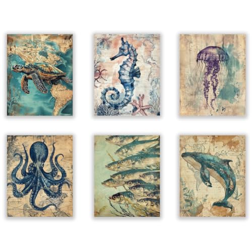 23 Gift Ideas For Marine Life Lovers in 2026: Ocean-Inspired Gifts They’ll Actually Use 3 Vintage Ocean Life Wall Art Prints Set