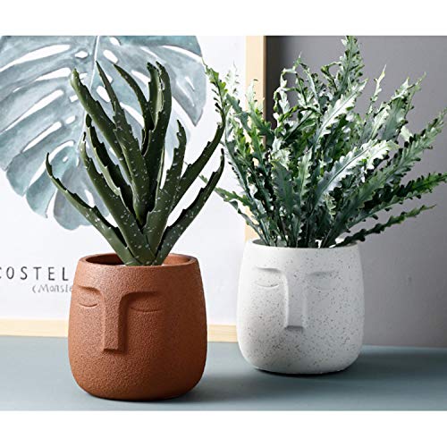 5.5Inch Concrete Planter, Urn For Plants, Modern Indoor/Outdoor Head Planter Face Flowers Plant Pots , Statue Plant Pot For Home Decoration, Gift ,Concrete Head Planter For Home Decoration(White) #TOP7