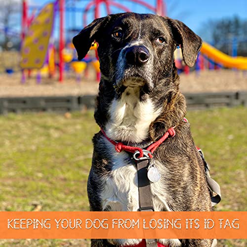 18 Pieces Leash Dog Tag Clip Pet Id Tag Pet Tag Clip Quick Clip Combos Durable Dog Id Tag With Rings, Stainless Steel Quick Clips Pet Id Tag Holder For Dog Cat (Silver, 1.9 Inch，1.3 Inch，0.8 Inch) #TOP4