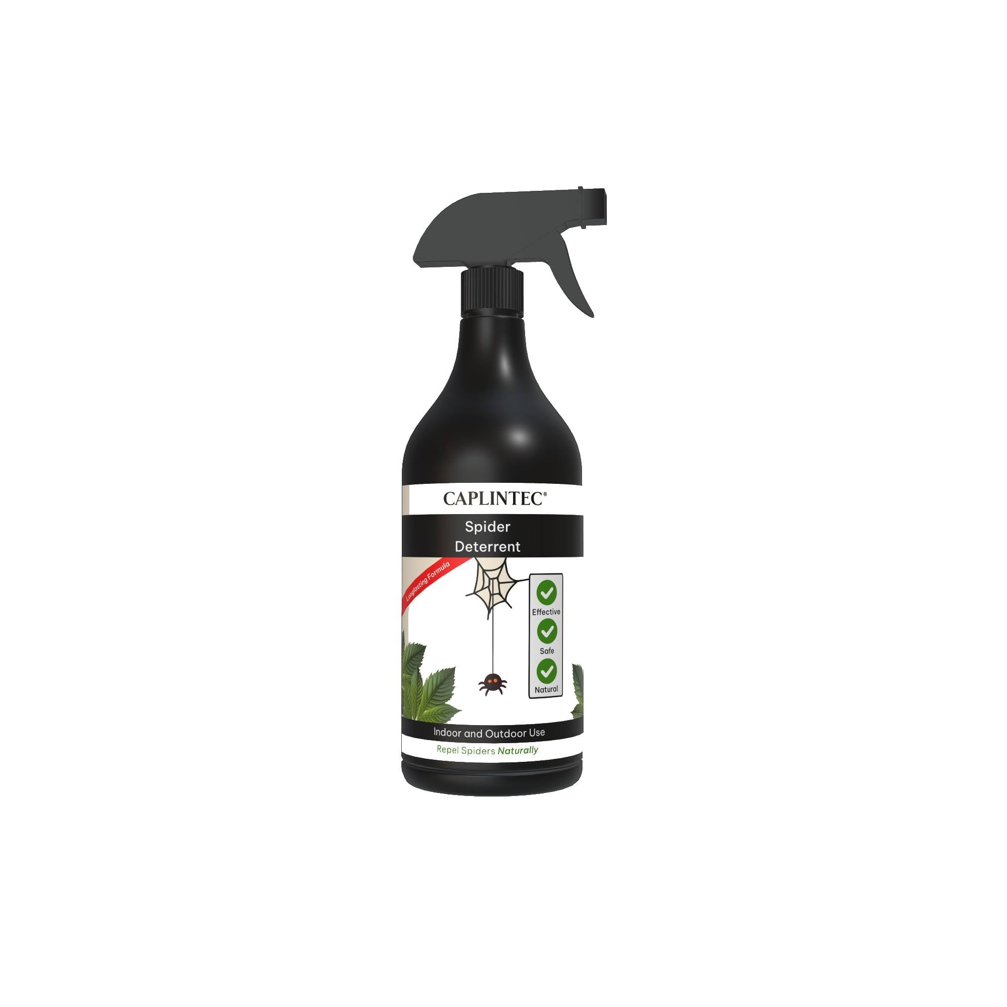 Spider Deterrent Spray | Natural & Humane Spider Repellent | Safe for Pets, Children, and Wildlife | Easy-to-Use Spray Bottle | Non-Toxic, Long-Lasting | Ideal for Home and Garden (500ml)