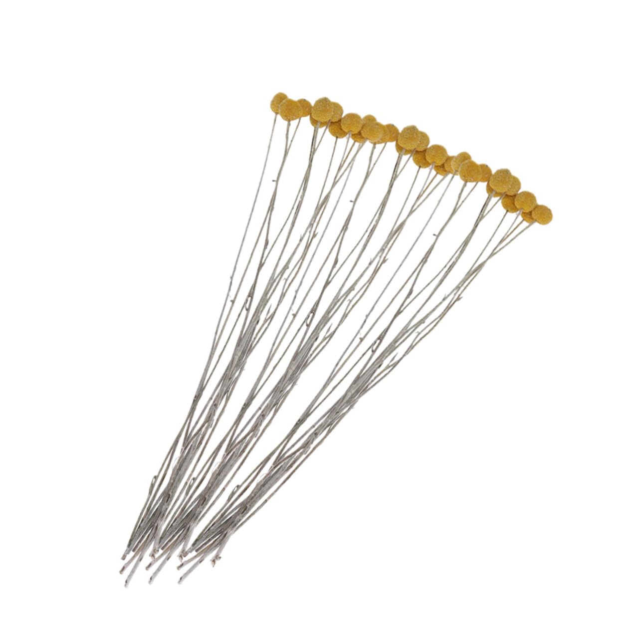 VILLCASE 60pièces Bouquet Fleurs Séchées Craspedia Décoration Naturelle pour Mariage Maison Et Événements sans Entretien