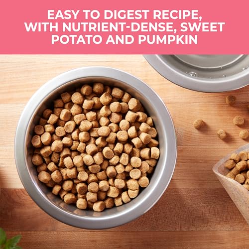 Nature’s Recipe Grain Free Dry Dog Food Salmon, Sweet Potato & Pumpkin Recipe, 24 lb. Bag - Image 4