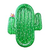  DISEÑO HERMOSO Y CREATIVO: diseño elegante y único, diseño colorido y hermoso, artesanía fina, entrada de aire inflable de doble asa segura y confiable, hermosa forma de cactus.