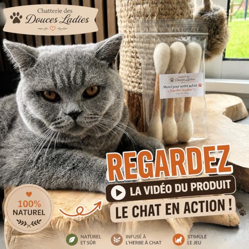 Vignette produit
