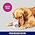 YuMOVE Digestive Care PLUS | Previously YuDIGEST PLUS | Veterinary Strength Fast-acting Probiotic Digestive Support for Dogs, All Ages and Breeds | 60 Sachets | Packaging may vary