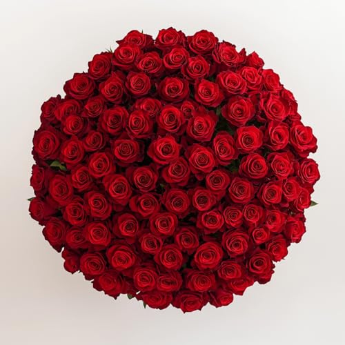 GlobalRose Fresh Cut Red Roses - 150 (6 Bundles of 25) Fresh Flowers Bouquet for Wedding