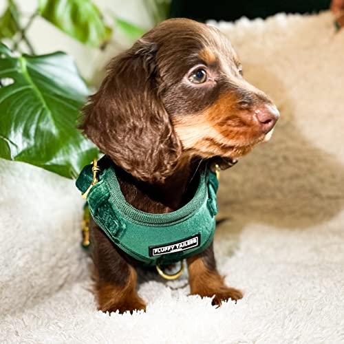 Fluffy Tailers Emerald Velvet Dog Harness - Image 3