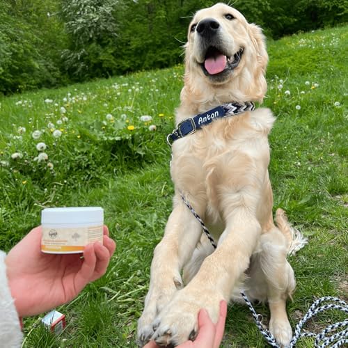 Bellfor Natürliche Salbe für Pfotenschutz Hunde Calendula, Kokosfett & Insektenfett – Natürlicher Schutz gegen Schnee, EIS & Streusalz - Antibakteriell und Pflegend - 100 ml.