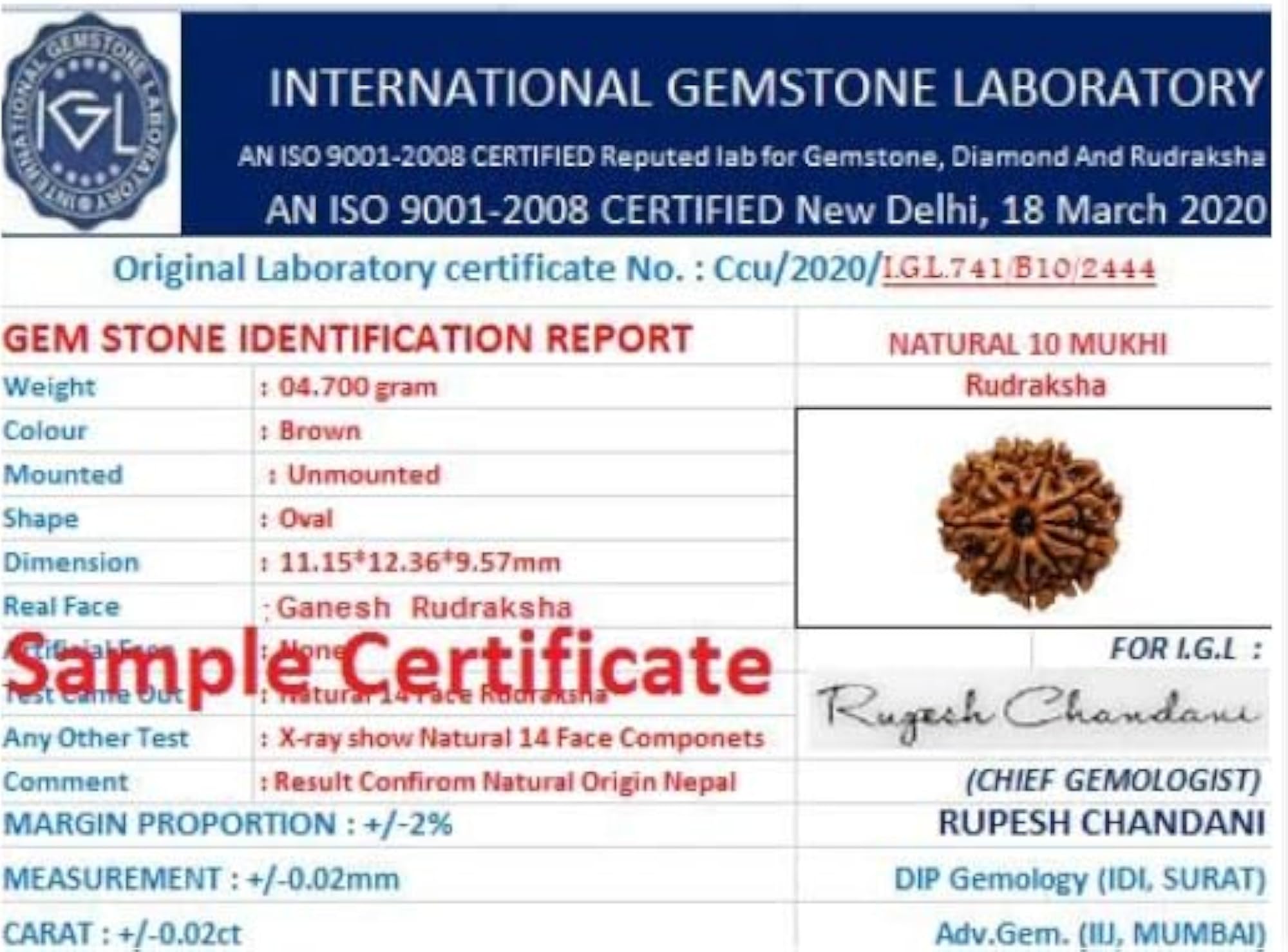 MAA SHAKTI GEMS Premium 10 Mukhi Rudraksha, Lab Certified