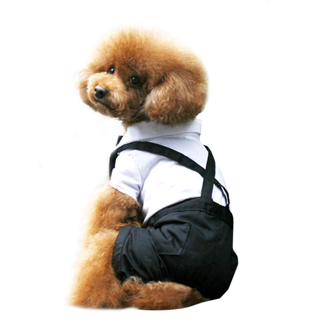Kissherely Dog Tuxedo Suit Lovely Puppy Wedding Outfit Dog Costume Pet Clothes Coat Jumpsuits Pet Supplies (M)