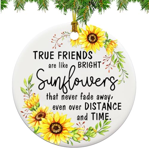 Friend Ornaments for Women, Friendship Christmas Ornaments 2026, Best Friends Ornament, for Women,...