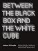 Between the Black Box and the White Cube: Expanded Cinema and Postwar Art