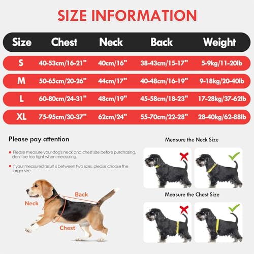 Gilet de sauvetage pour chiens de taille moyenne à grande spécial kayak et lac - 6