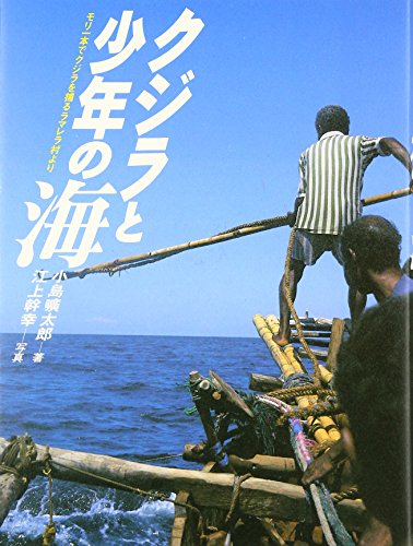 クジラと少年の海: モリ一本でクジラを捕るラマレラ村より (理論社ライブラリー)