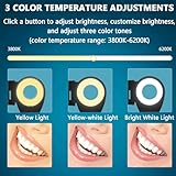 Zoom IMG-2 ngary luce fotografica dentale mobile Zoom IMG-2 ngary luce fotografica dentale mobile