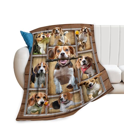 Beagle Blanket Beagle Dog Throw Blankets Ultra Soft Cozy Fuzzy Plush Fleece Flannel Lightweight Beagle Pet Blanket Gifts for Dog Lovers Girls Women Men Boys Kids for Bedding Sofa 40"X50"