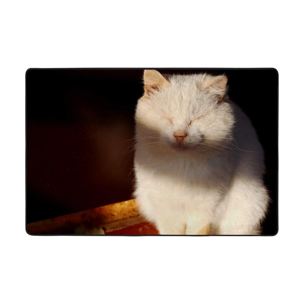 Grand tapis chat endormi blanc Ruchen en velours corail de 203x147cm pour salon