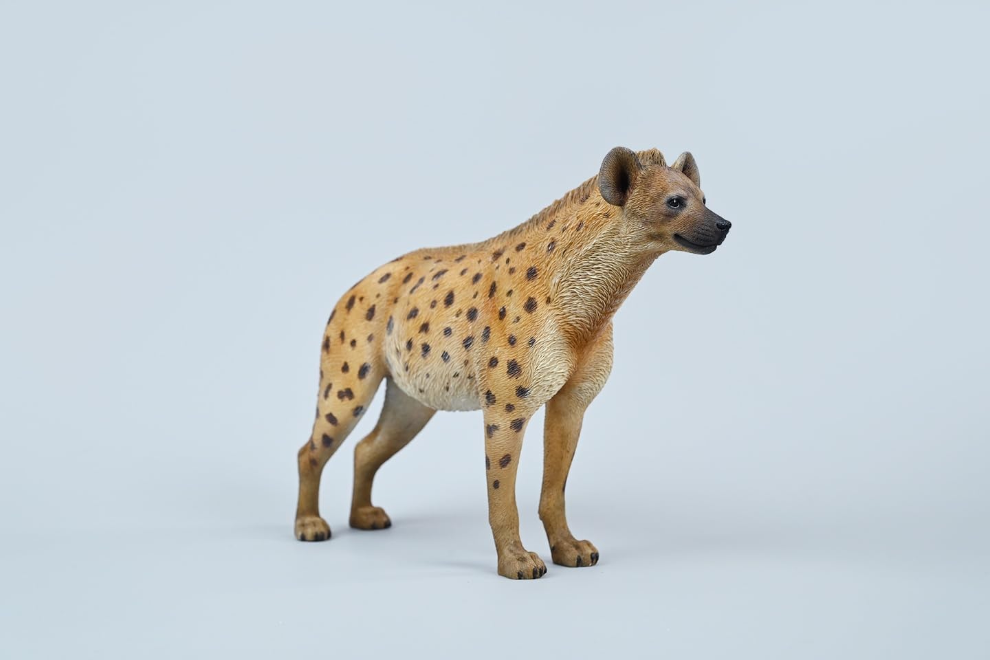1:6 Scale African Hyena Model Hyaenidae Animal Figure Dog Collection Gift (JXK215A1)