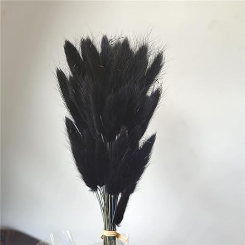 60PCS Rabbit Tail Grass Dried Flowers Dried Natural Floral Arrangement Bunch Decoration Dried Grass,Eternal Flower Dried Grass for Home,Wedding,Party,Flower Bouquet,Photo Props Decor (Black) Cover