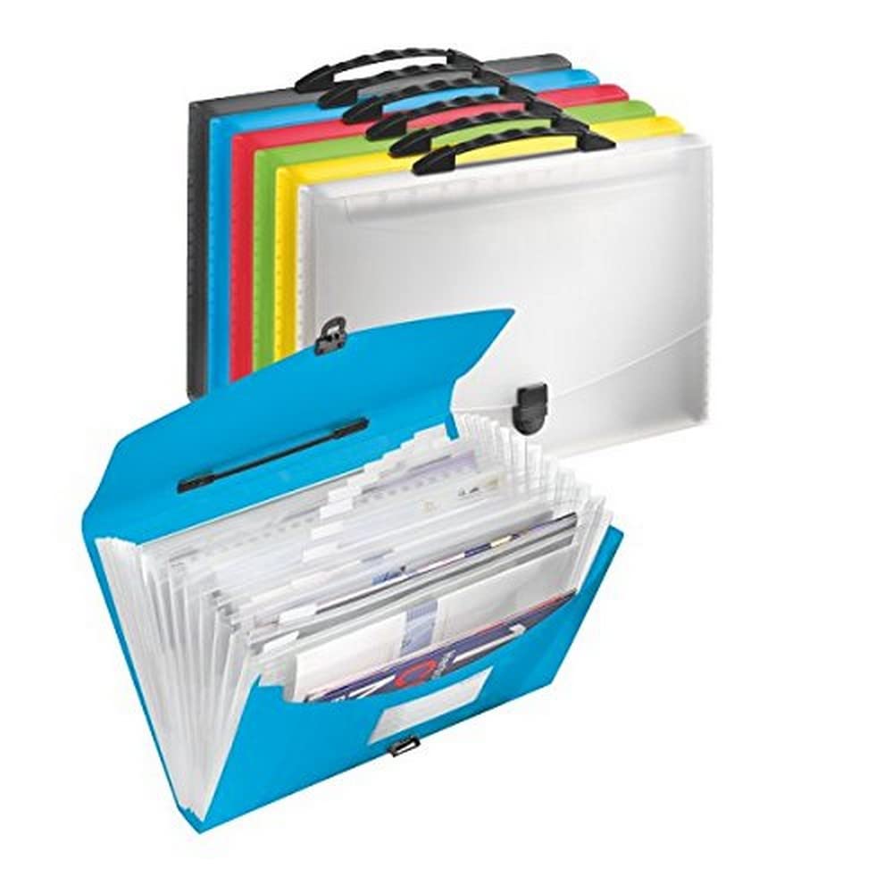 Esselte 624028 - Carpeta acordeón con asa Vivida con 13 separadores colores surtidos (pack 6 ud)
