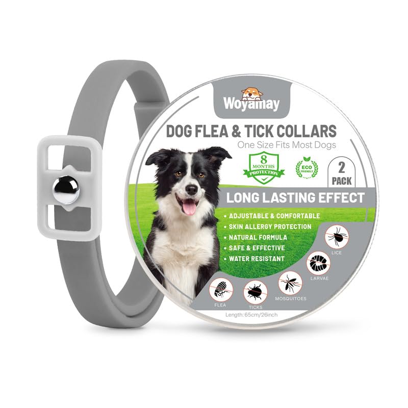 Woyamay Collar Antiparasitario Perros, Natural 8 Meses de Protección Collar Antipulgas Perros, Resistente Al Agua Regulable Collar Pulgas y Garrapatas Perros para Perros, Gris