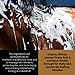 Corakko - Horse Shampoo - Premium Therapeutic Skin Care Formula - Nano-Copper Technology - Leaving Coat Conditioned & Protected against Itching, Bites, & Preventing Skin Ailments - 32oz