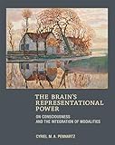 The Brain's Representational Power: On Consciousness and the Integration of Modalities