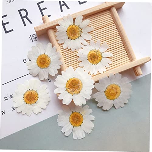 30 pcs Materiales para DIY Flores Presionadas Reales miniatura 7