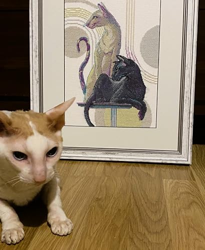 Image of Aine - Mystical Cats A1011, Cat Lovers Cat Cross Stitch Kits 8 inchx11, Cross Stitch Kit for Beginners & Advanced, Crossstitching Kits Adult, Counted Stitching Kits, Embroidery Kit