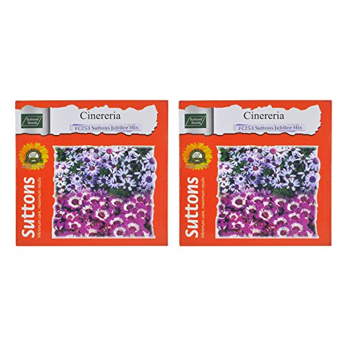 Sutton Seeds CINERERIA-SUTTONS JUBILEE-MIXED-FC253 Flower Seeds-Pack of 02 (B074131Y8K) Amazon Price History, Amazon Price Tracker