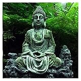 【Material seguro】: Aquarium Buddha Decoraciones de la estatua Mide aproximadamente 5.12 "x 2.36" x 6.49 ", la estatua de Buda de acuario está hecha de materiales de resina, con auténticamente detallado, como la vida. En circunstancias normales, no habrá decoloración. Seguro para el Calidad de pescado y agua.