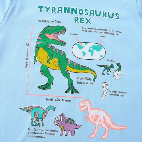 Toddler Baby Boys Casual Long Sleeve Crewneck Dinosaur Excavator T-Shirt Cotton Basic Tops Shirt Clothes 2-7Years4