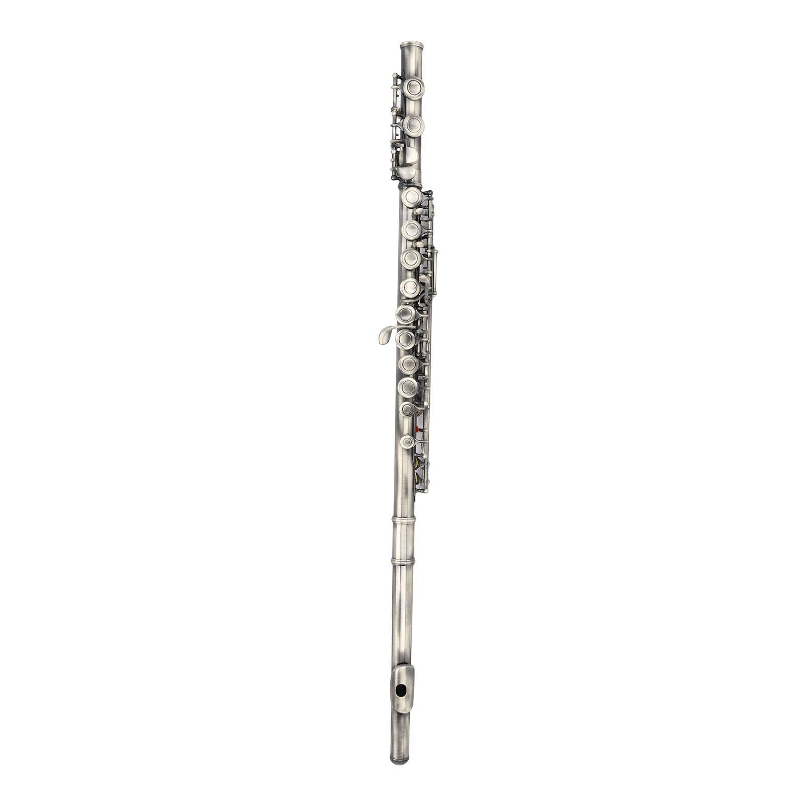 Eujgoov Flauta C de 16 Teclas, Material de Cuproníquel, Ideal para Estudiantes y Principiantes, Excelente Rendimiento para Práctica y Grabación Musical (Azul verdoso antiguo)