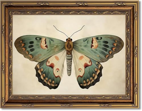 Myzoran Vintage Gold Framed Butterfly Canvas Wall Art Retro Butterfly Illustration Room Decor Dark Moody Insect Picture Antique Moth Artwork for Cottagecore Living Room Bedroom Decoration 9x11 Inch