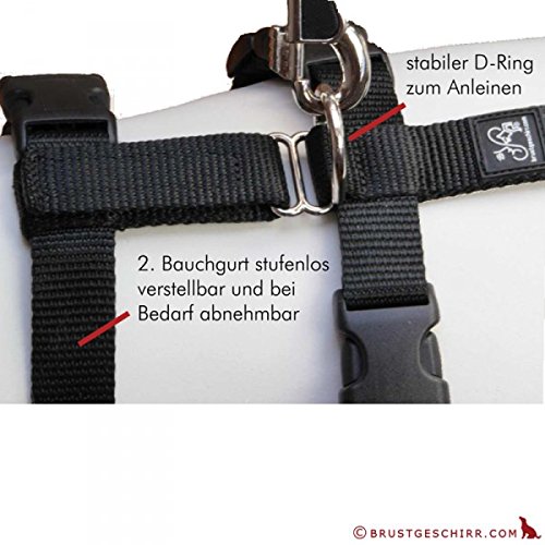 Feltmann No Exit ausbruchsicheres Hundegeschirr für Angsthund, Sicherheitsgeschirr für Pflegehunde, Panikgeschirr, Soft Grip, türkis/braun, Bauchumfang 55-75 cm, 20 mm Bandbreite