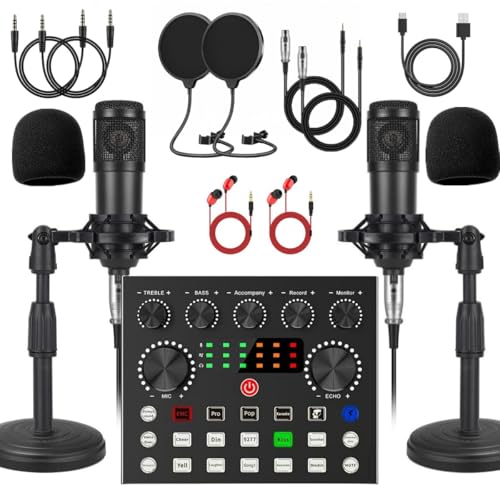 V8s for 2, V8s Voice Changer with BM-800 Podcast Microphone