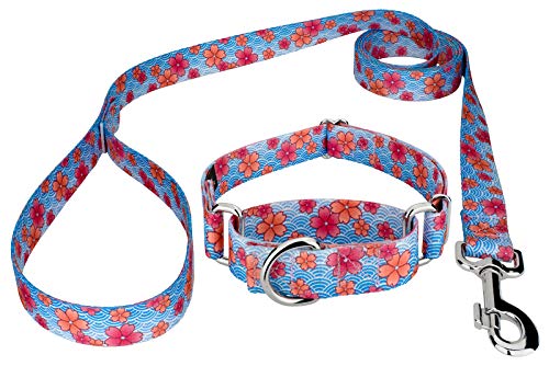 Country Brook Petz - Pink April Blossoms Martingale Dog Collar and Leash - Spring Collection Featuring Springtime Designs (5/8 Inch, Small)