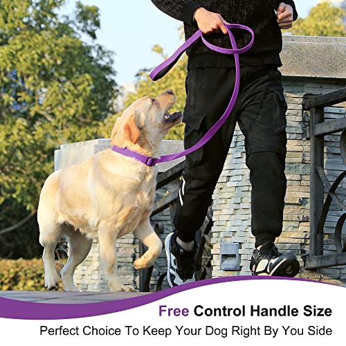 Lynxking 6Ft Dog Leash For Large Medium Small Dogs,Strong Durable Heavy Duty Nylon Leashes For Walking And Training, Heavy Duty 6 Foot Dog Leash With D Ring For Puppy (Purple, Small 5/8" X 6') #TOP4